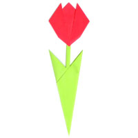 tulip with two leaves