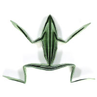 simple origami frog II