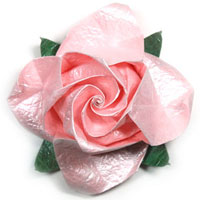 swirl rose