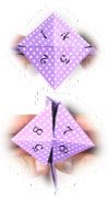origami paper fortune teller II
