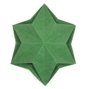 15th picture of Calyx Origami Base with Six Sepals