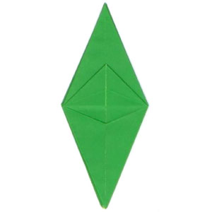 16th picture of frog origami base