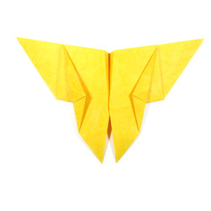 20th picture of traditional origami butterfly
