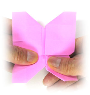 28th picture of origami butterfly VI
