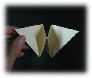 3rd picture of flying origami crane II