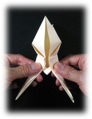 17th picture of flying origami crane II