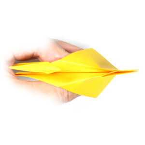 12th picture of traditional origami duck
