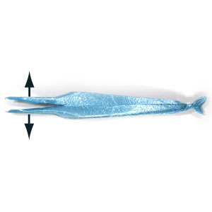56th picture of origami needlefish
