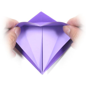 5th picture of petal-fold in origami
