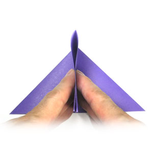 3rd picture of pocket-fold in origami