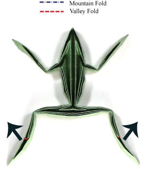 20th picture of simple origami frog II