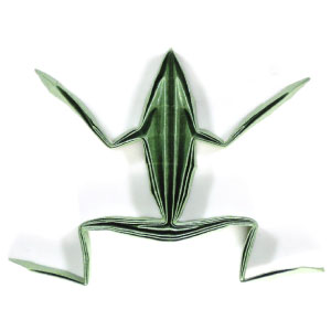 21th picture of simple origami frog II