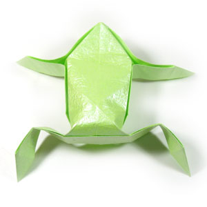 17th picture of origami frog