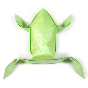 20th picture of origami frog