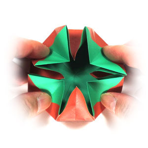 14th picture of octagon origami letter II
