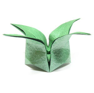 Lovely origami star box