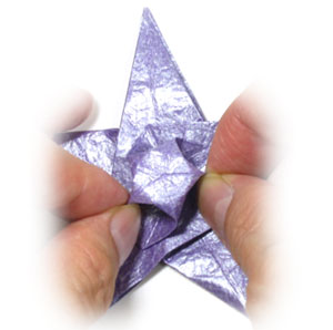 6th picture of CB seashell five-pointed origami star