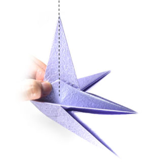 3rd picture of CB four-pointed seashell origami star