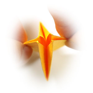 17th picture of four-pointed origami star