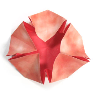 16th picture of five pointed origami star planet