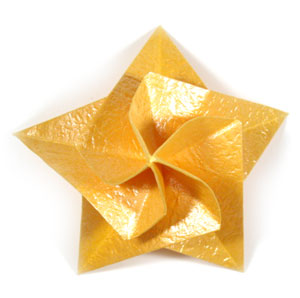 21th picture of five-pointed seashell origami star