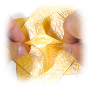 32th picture of four-pointed seashell origami star