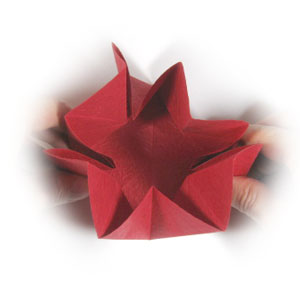 13th picture of origami sun